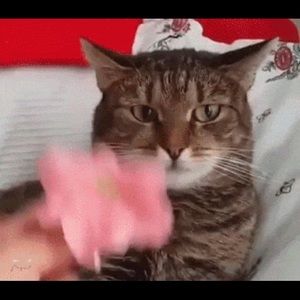 Meet your Posher, Jim